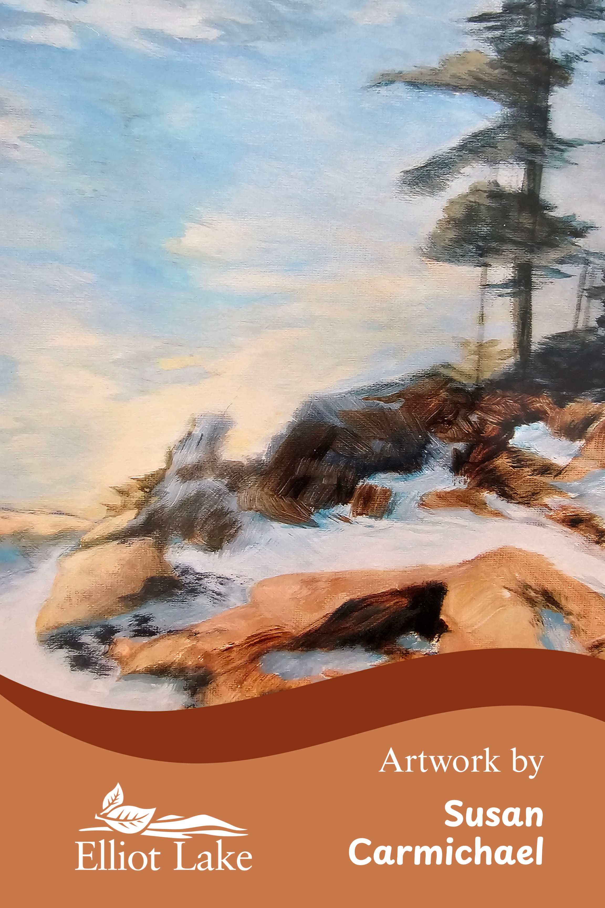 Susan Carmichael's Horne Lake Banner