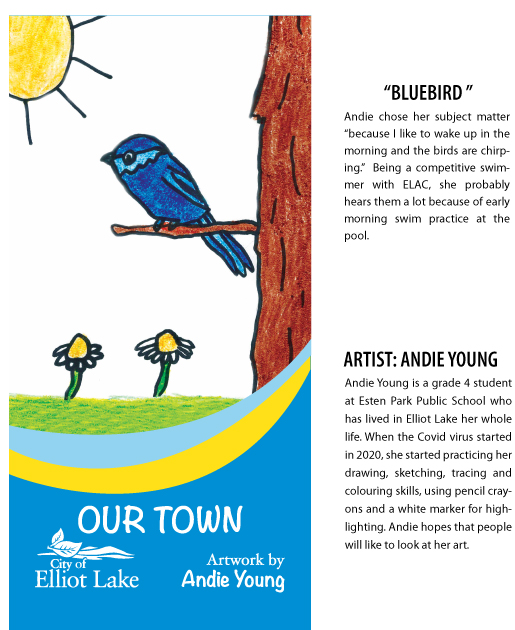 Andie Young's "Blue Bird" Banner Art and Biography