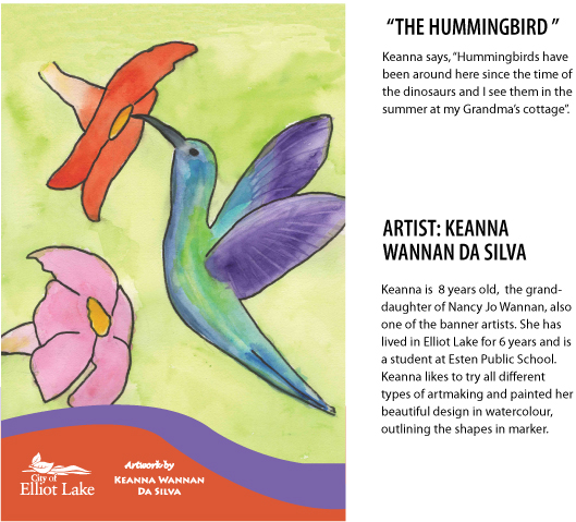 Keanna Wannan Da Silva The Hummingbird